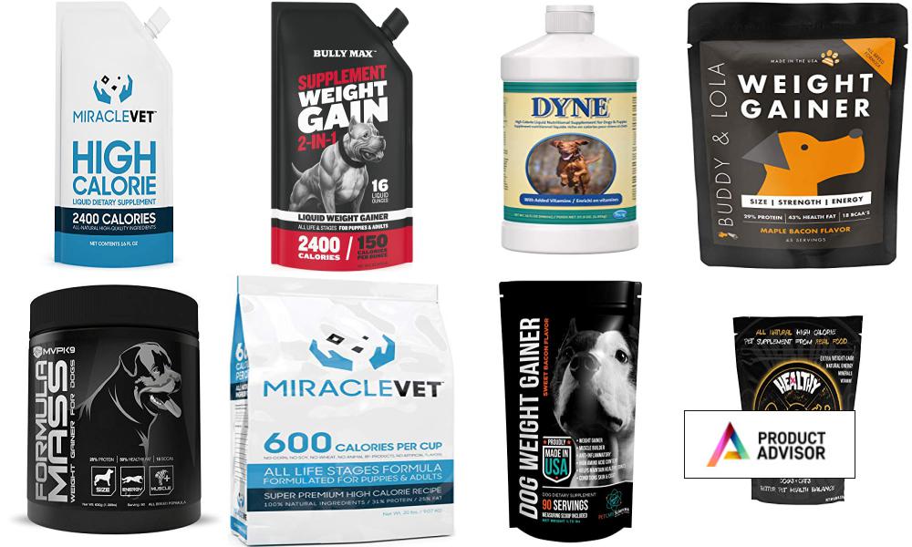 Best Dog Weight Gainers