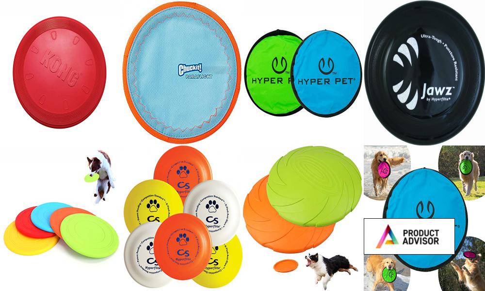 Best Frisbees For Dogs