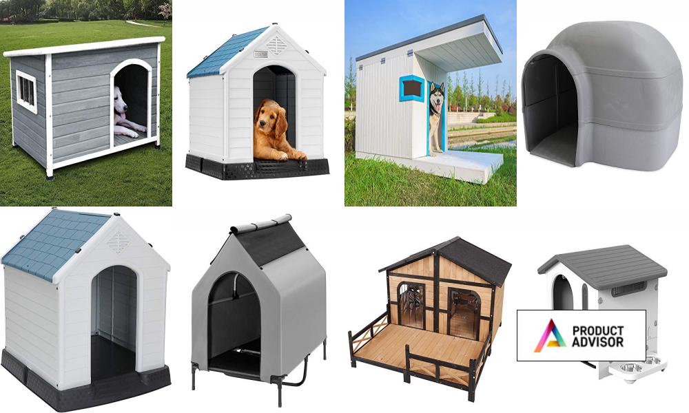 Best Outdoor Dog Houses